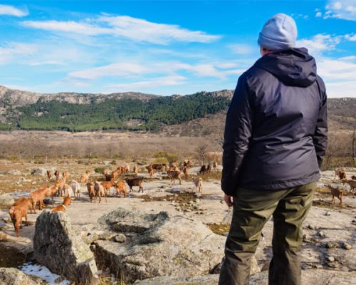 persona participando en actividades de pastoreo y elaboración de queso en La Caperuza