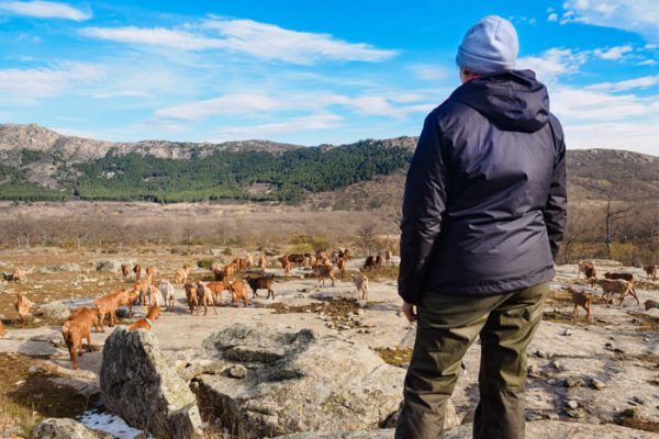 persona participando en actividades de pastoreo y elaboración de queso en La Caperuza
