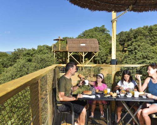 planes-monteholiday-cabana-en-los-arboles