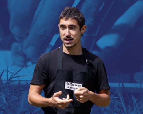 planes-naturaleza-consciente-alimentacion-consciente