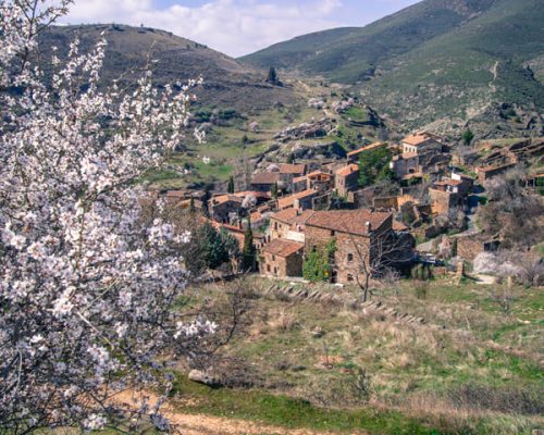 Arquitectura a la mesa con visita guiada