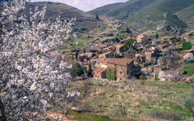 planes-patones-de-la-arquitectura-a-la-mesa-visita-guiada