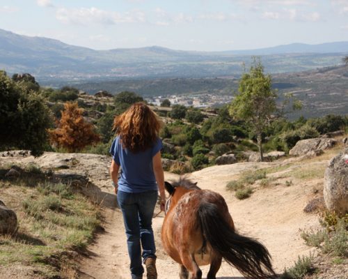 persona con un pony en el pony club robin creek