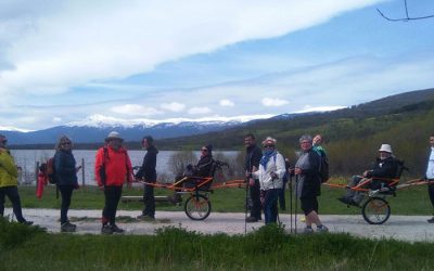 Grupo personas accesible