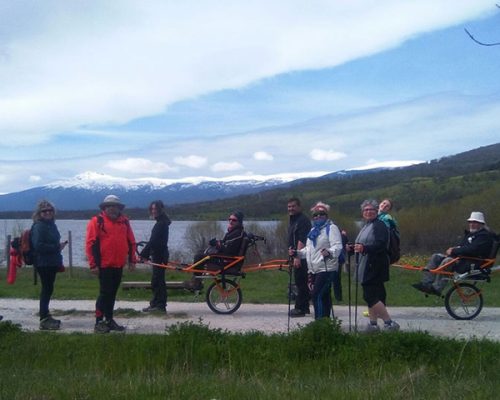 Grupo personas accesible