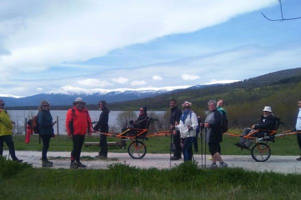 Grupo personas accesible