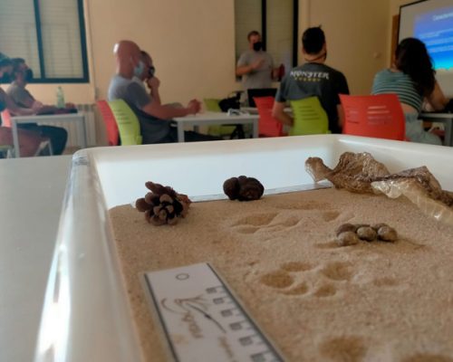 participantes en cursos medioambientales en Signatur