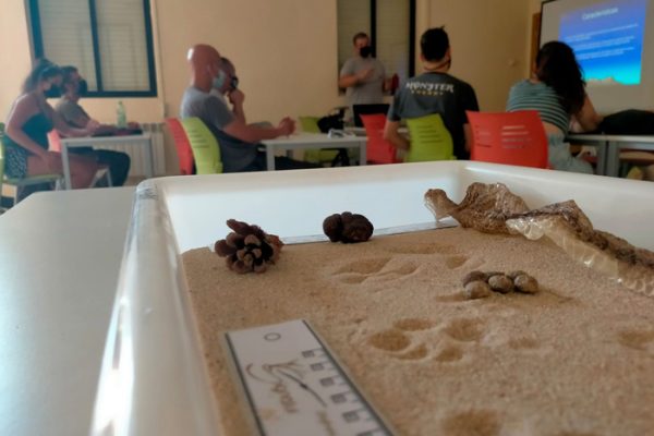 participantes en cursos medioambientales en Signatur