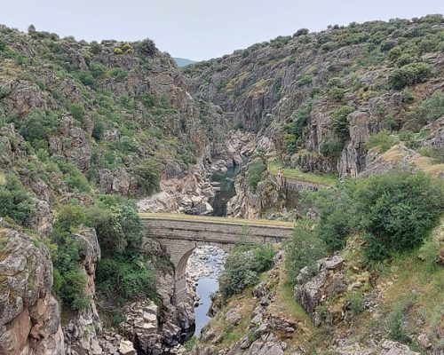 Tour por los orígenes del Canal de Isabel II, explorando estructuras históricas y el entorno natural.