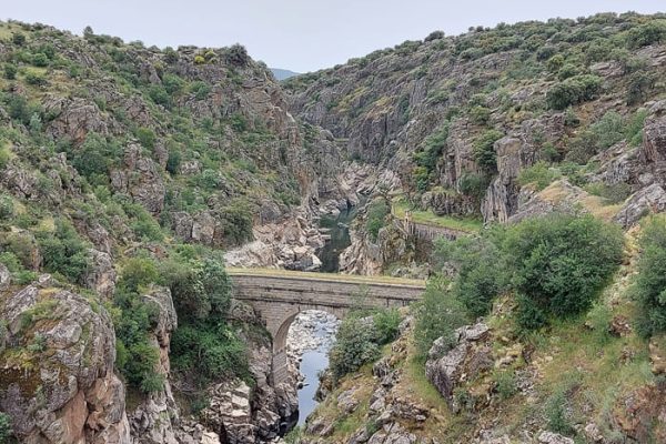 Tour por los orígenes del Canal de Isabel II, explorando estructuras históricas y el entorno natural.