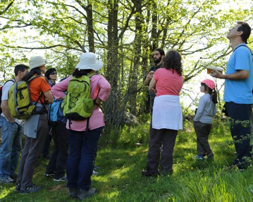 planes-wild-iberian-nature-pajareando-en-familia (1)