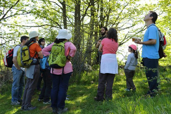 planes-wild-iberian-nature-pajareando-en-familia (1)