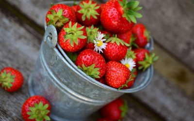 producto-local_granja-prados-montes