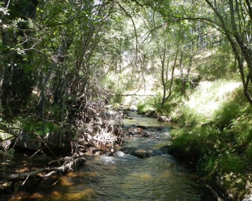 alberca-tejera-rio