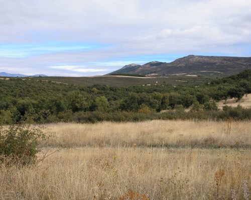 ruta-el-villar.-robledillo-4-2048x1532