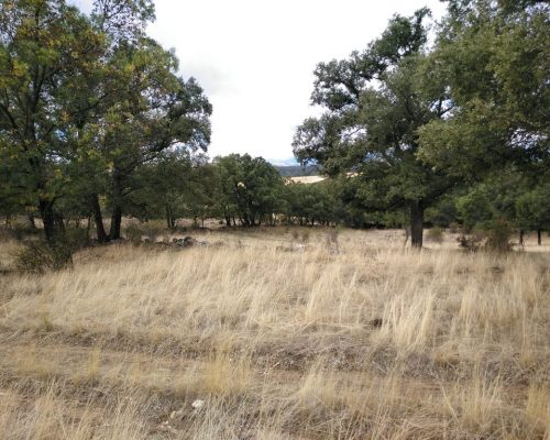 santo-roto.-robledillo-5-2048x1532