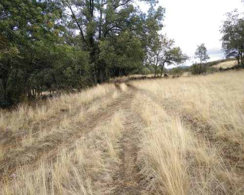 santo-roto.-robledillo-6-2048x1532