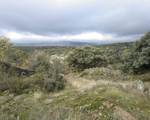 senda-molino-de-paredes-2-2048x1532