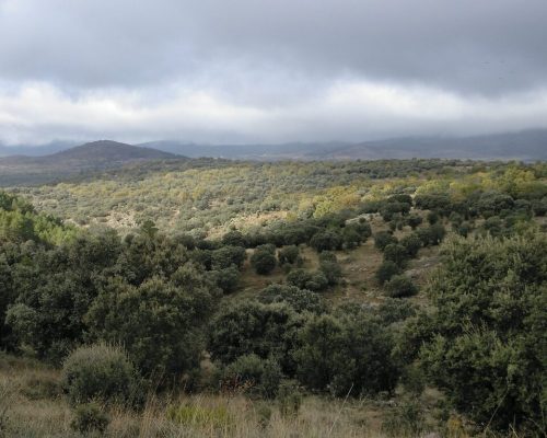 senda-molino-de-paredes-3-2048x1532