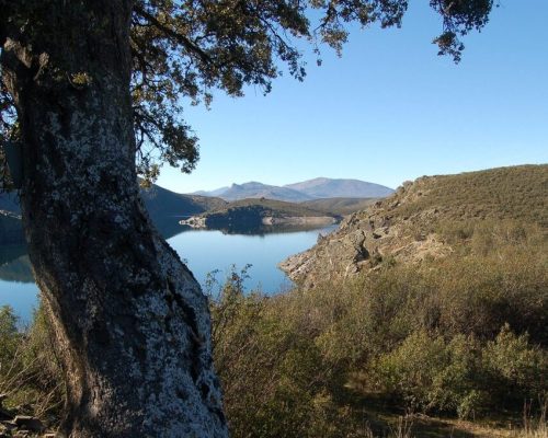 senda-pisanchon.-el-atazar-8-2048x1358 - copia