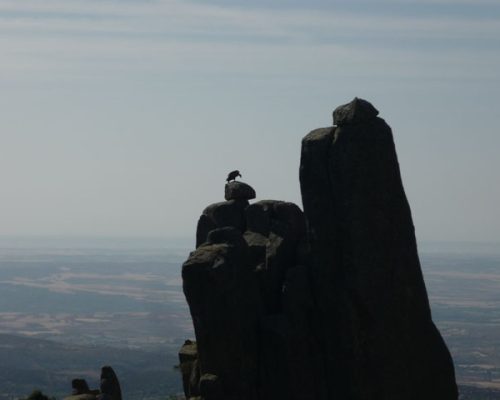 sierra-de-la-cabrera6