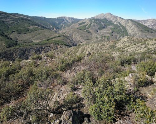 tinao-del-aguila.-el-atazar-5-2048x1532