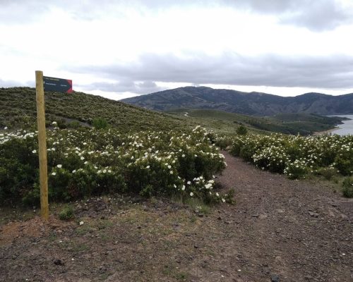 tinao-del-aguila.-el-atazar-6-2048x1536