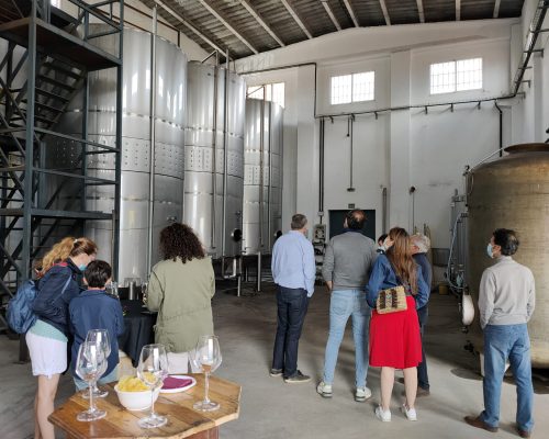 visitaBodegaVinaBardela