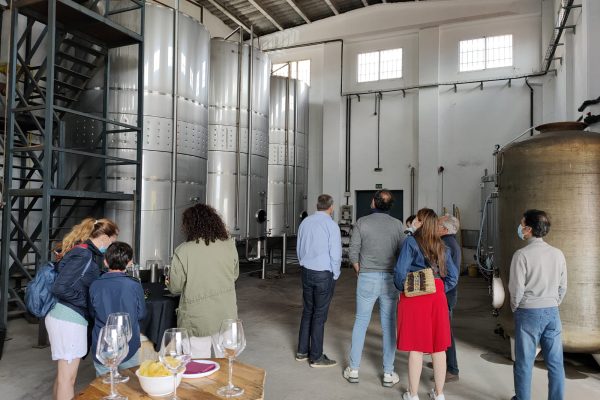 visitaBodegaVinaBardela