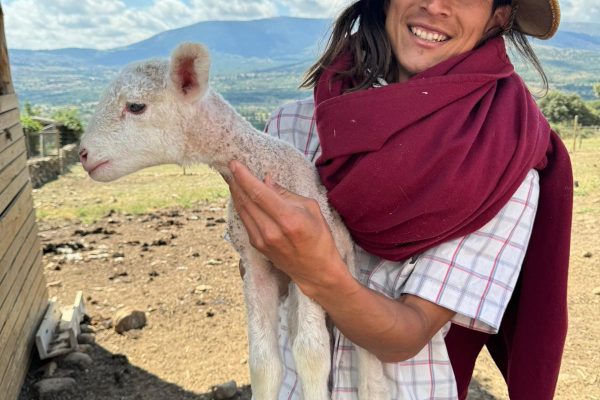 visitateatralizada_granjamonteholiday